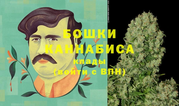 прущая мука Вяземский