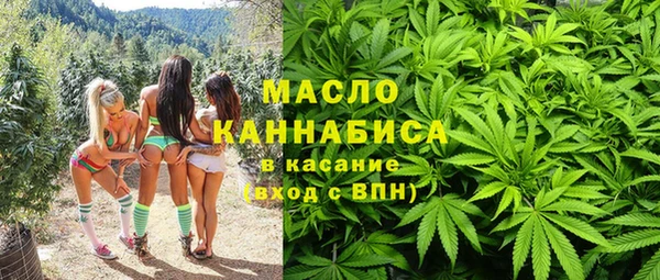 прущая мука Вяземский