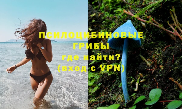 прущие грибы Вязники