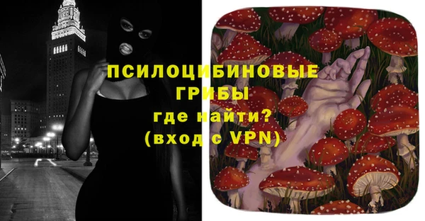 прущие грибы Вязники