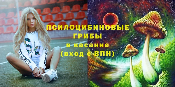 прущие грибы Вязники