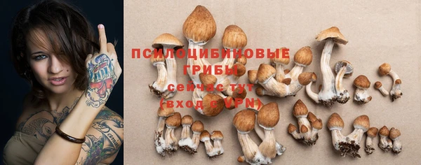 мдпв Горно-Алтайск