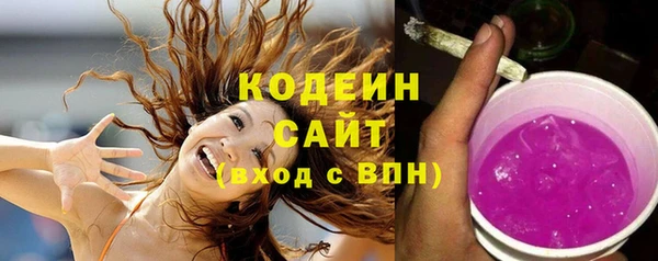 прущие грибы Вязники