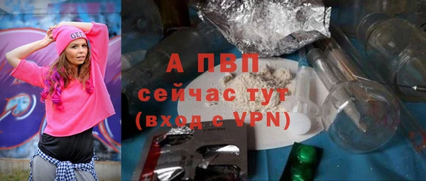 прущие грибы Вязники