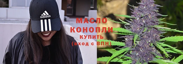 прущая мука Вяземский