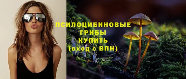 прущие грибы Вязники